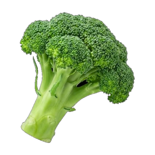 Broccoli