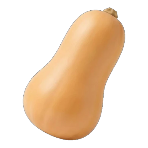 Butternut