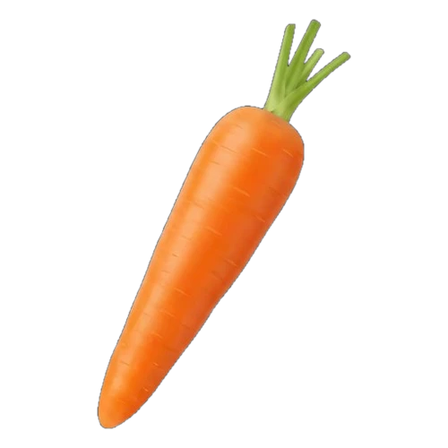Carrot