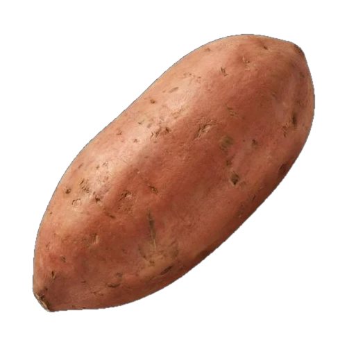 Sweet Potato